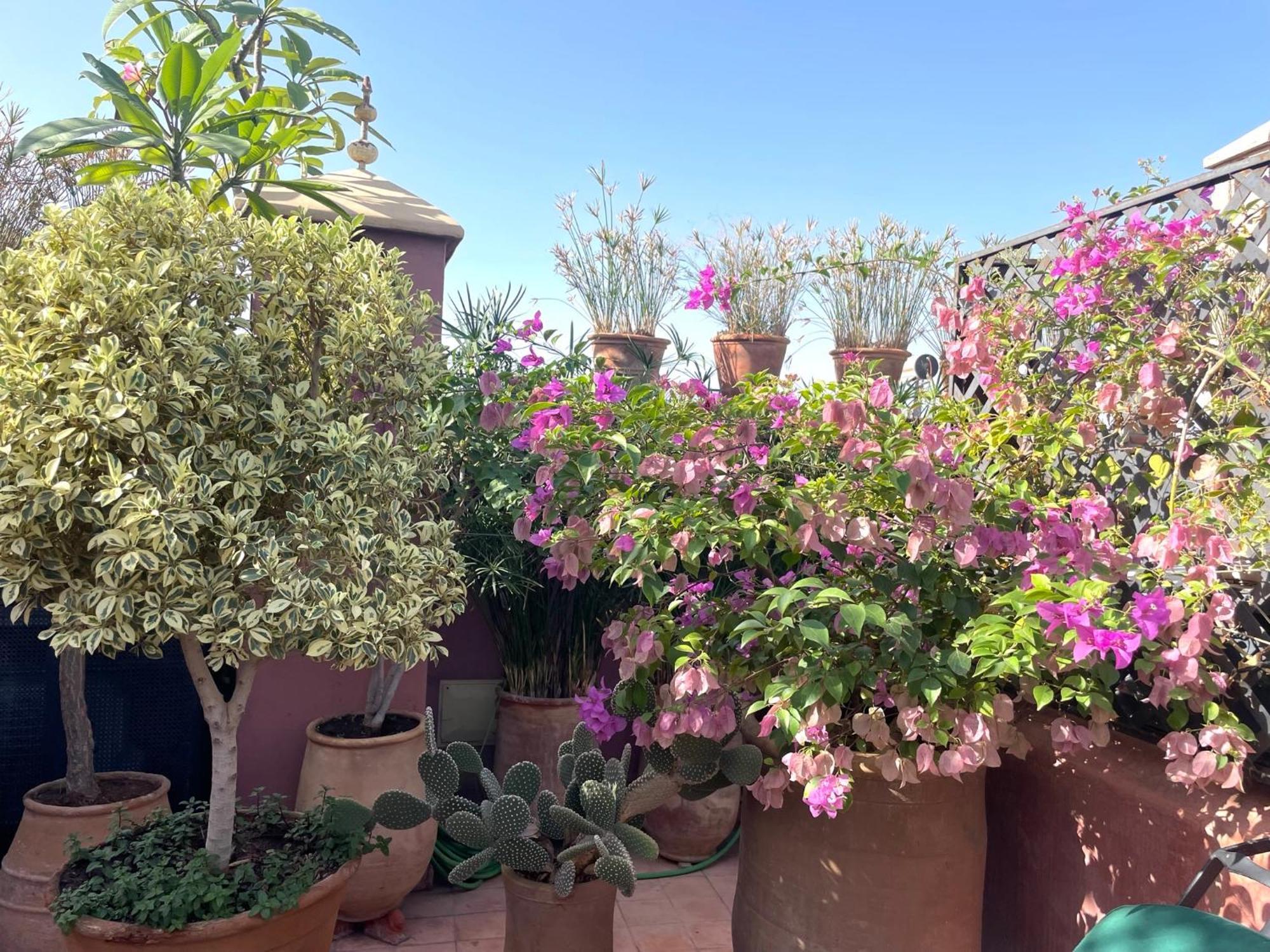 Riad Dar Al Assad Marrakesh Luaran gambar